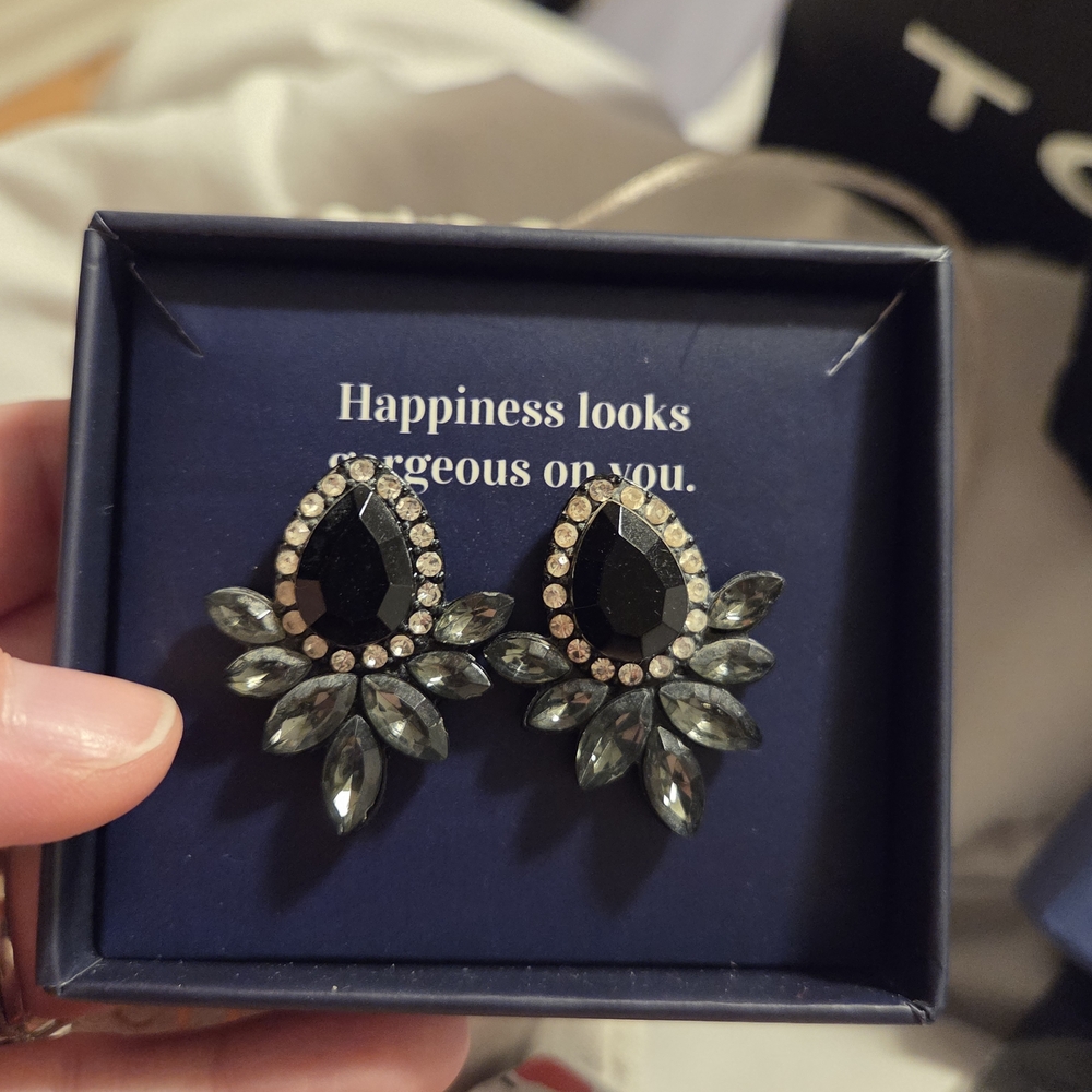 Elegant Black and Silver Teardrop Earrings